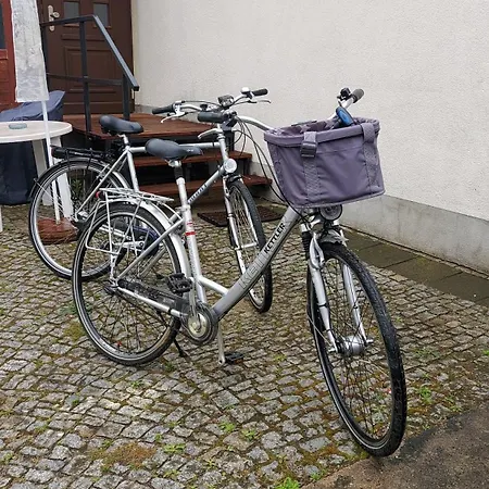 Paul Hille Apartament Drezno