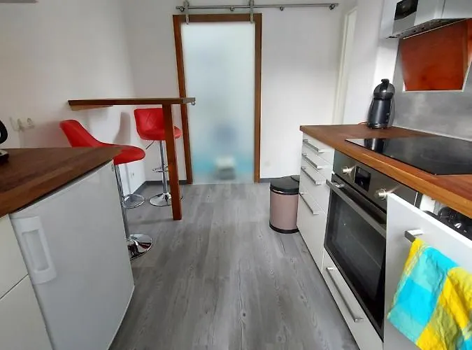 Apartament Paul Hille *